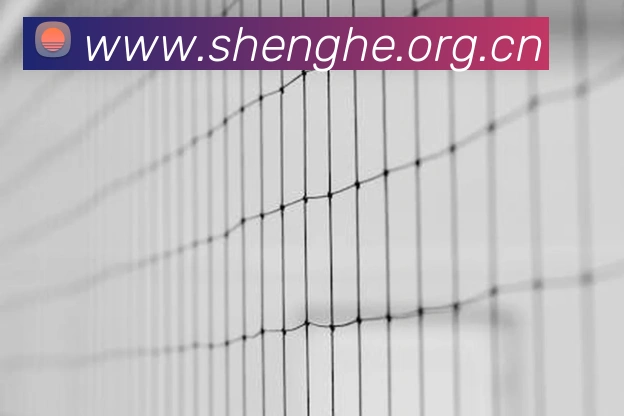 milan米兰官网品牌故事