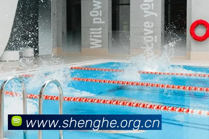 多媒体互动体验